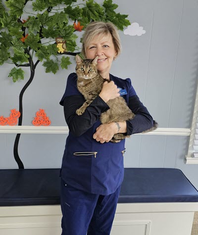 Lucy - Client Relations Lucy - Client Relations