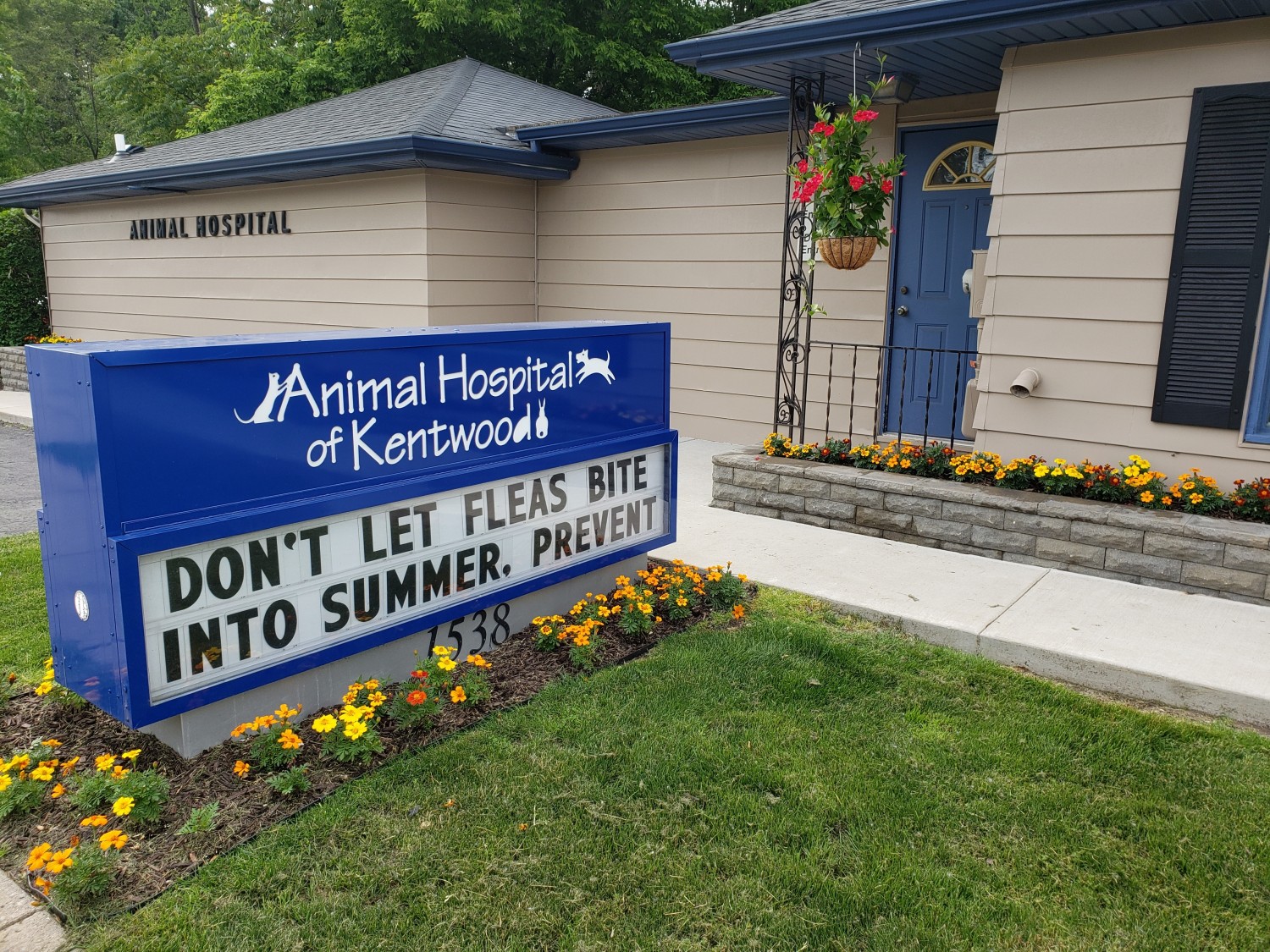 The Animal Hospital of Kentwood Building