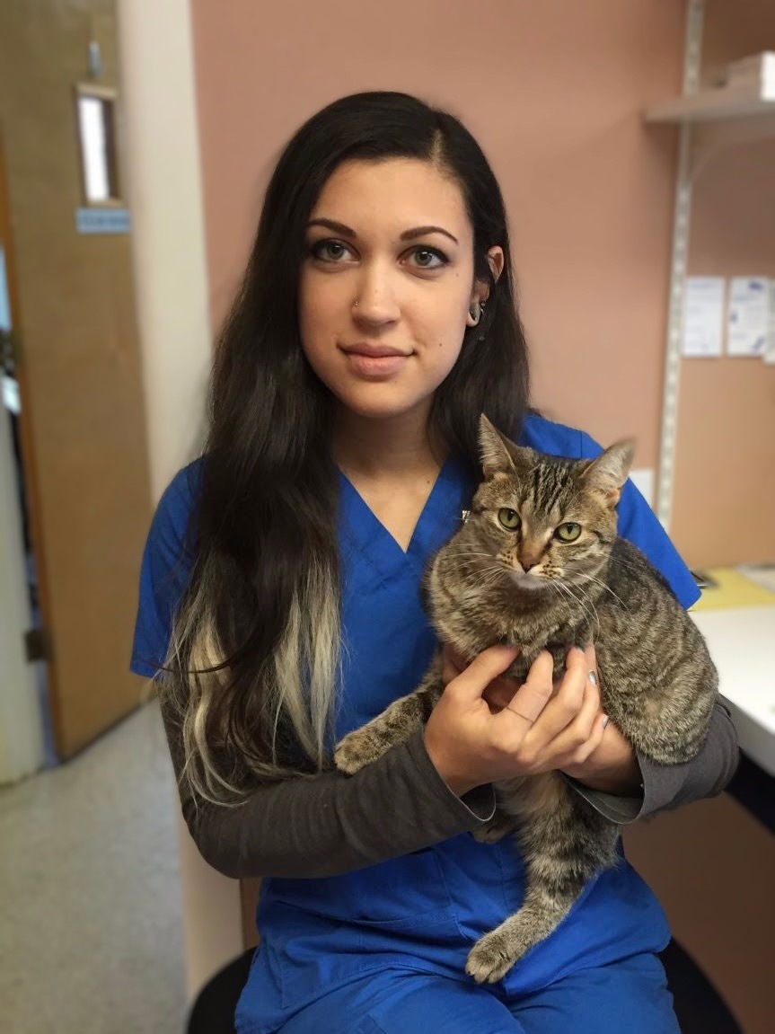 Lauren - Veterinary Assistant