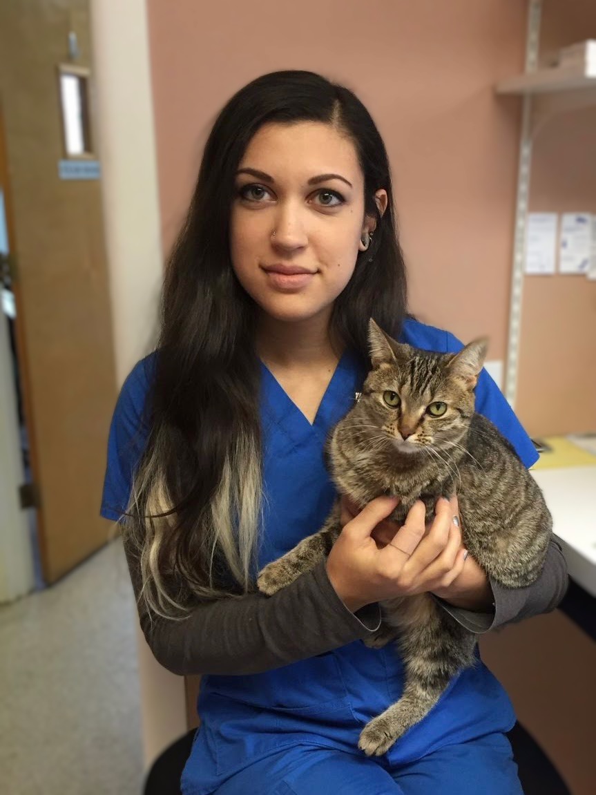 Lauren - Veterinary Assistant Lauren - Veterinary Assistant